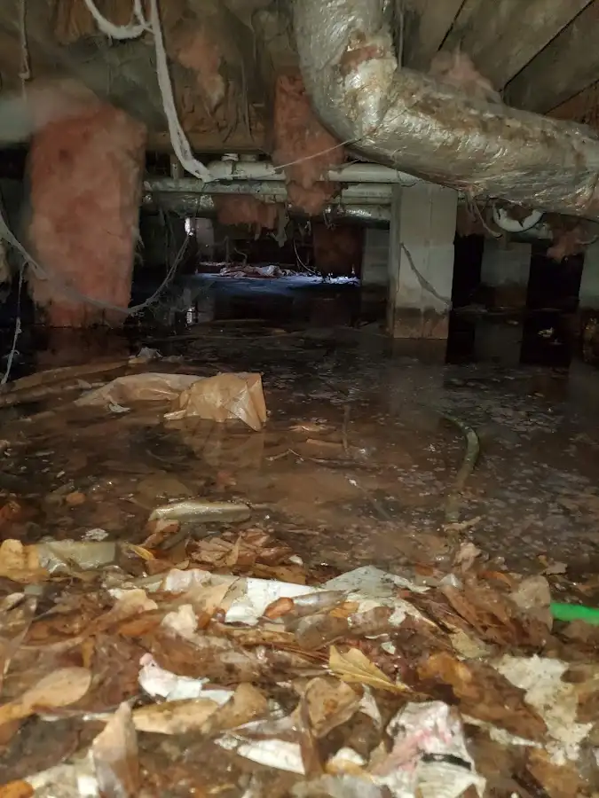 Crawl space flood assessment for Commercial Water Damage Restoration in Peachtree City